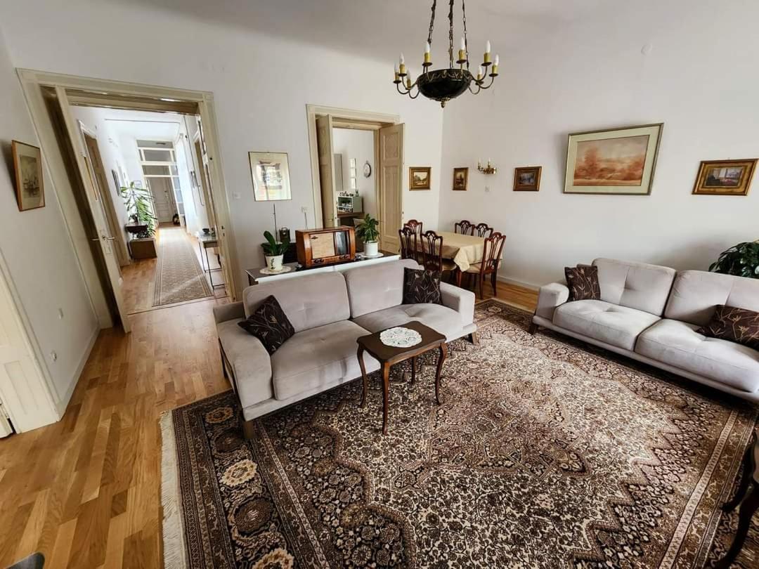 The Best Location Salon Apartment With Main Street View サラエヴォ エクステリア 写真
