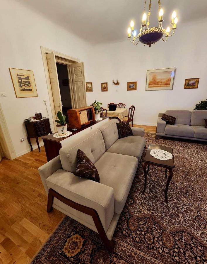 The Best Location Salon Apartment With Main Street View サラエヴォ エクステリア 写真