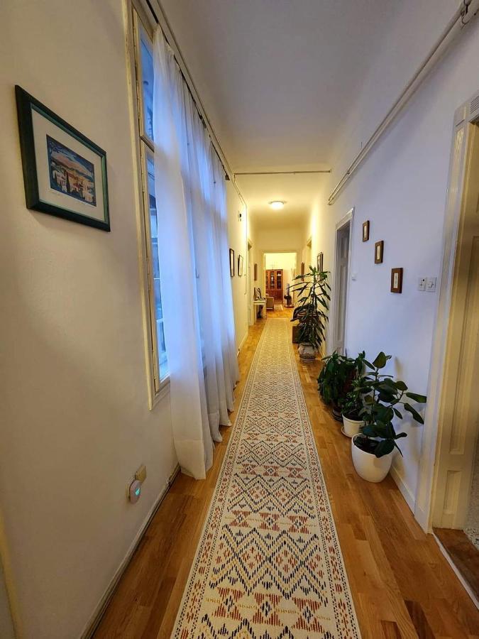 The Best Location Salon Apartment With Main Street View サラエヴォ エクステリア 写真