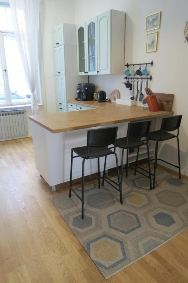 The Best Location Salon Apartment With Main Street View サラエヴォ エクステリア 写真