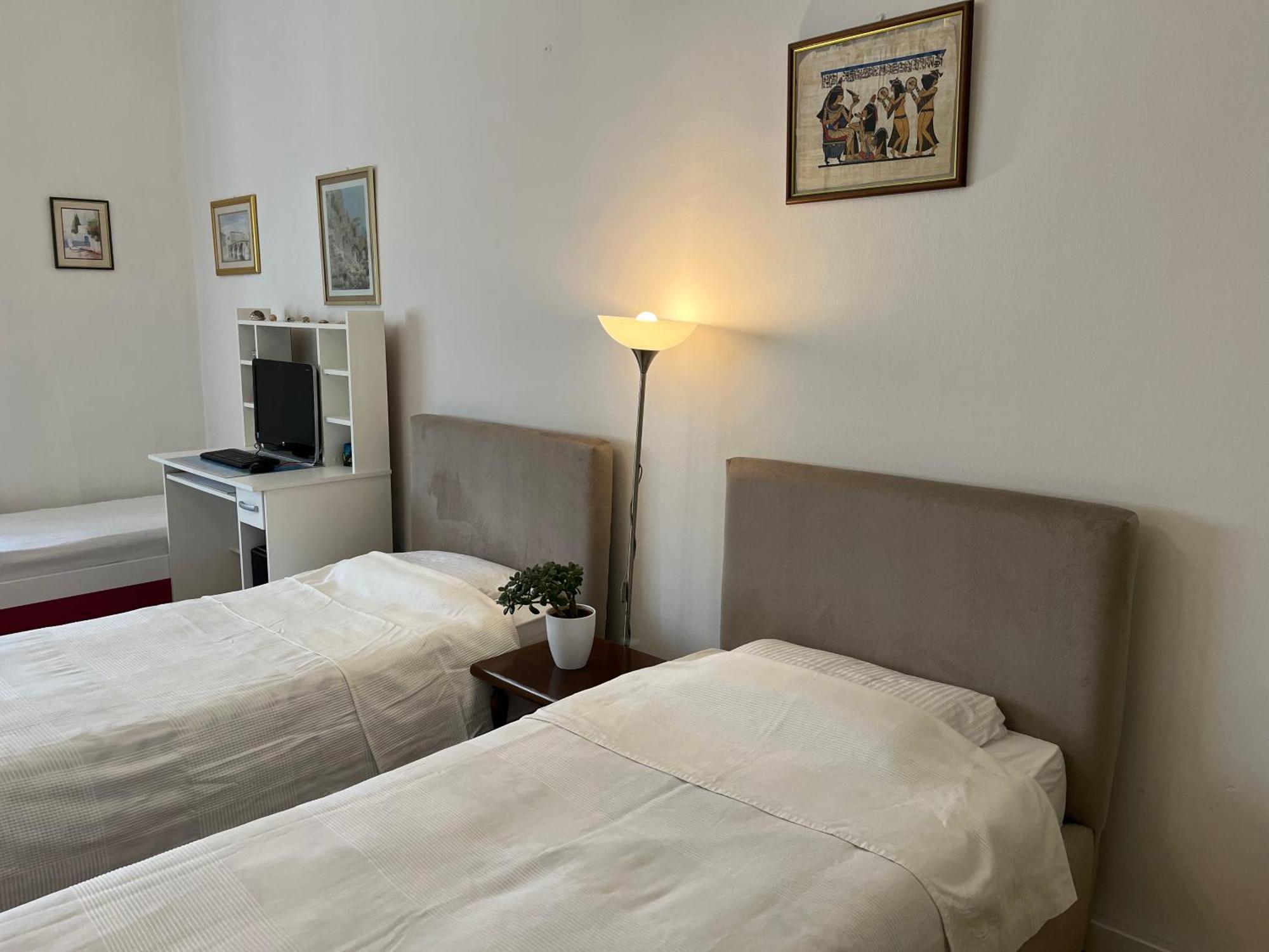 The Best Location Salon Apartment With Main Street View サラエヴォ エクステリア 写真