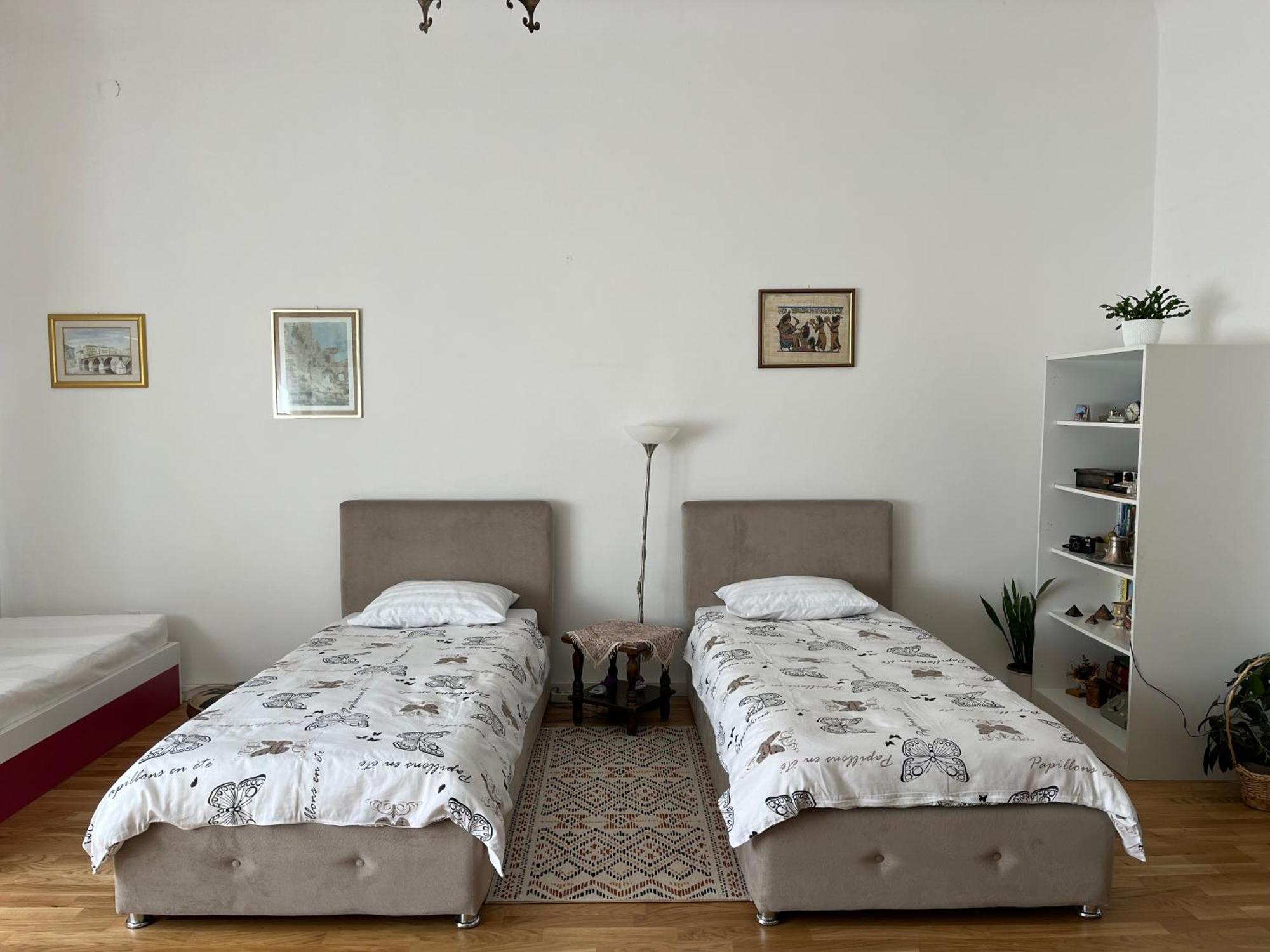 The Best Location Salon Apartment With Main Street View サラエヴォ エクステリア 写真
