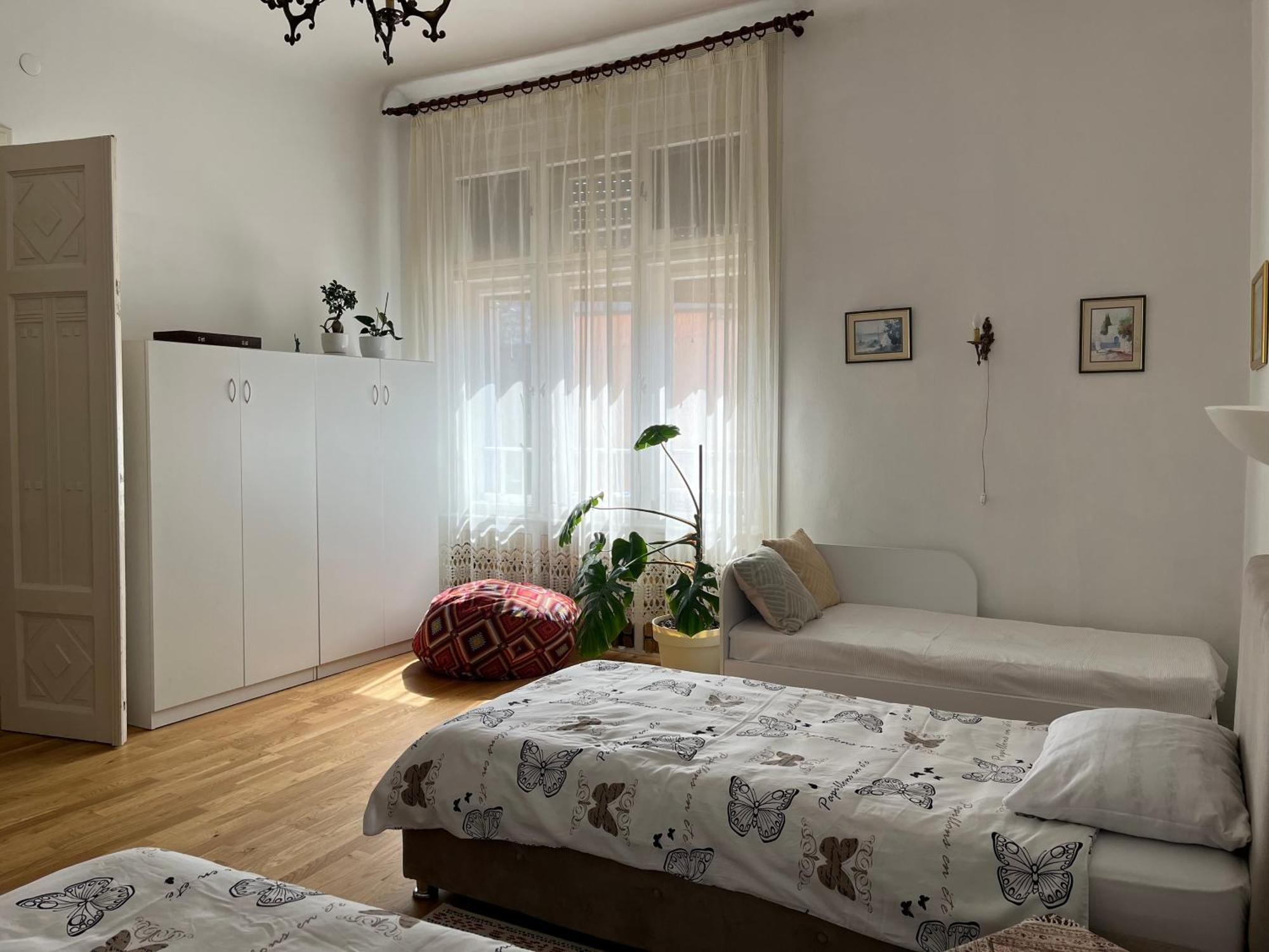 The Best Location Salon Apartment With Main Street View サラエヴォ エクステリア 写真
